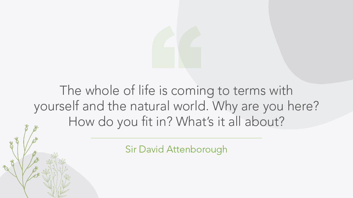 The whole of life is coming to terms with yourself and the natural world.