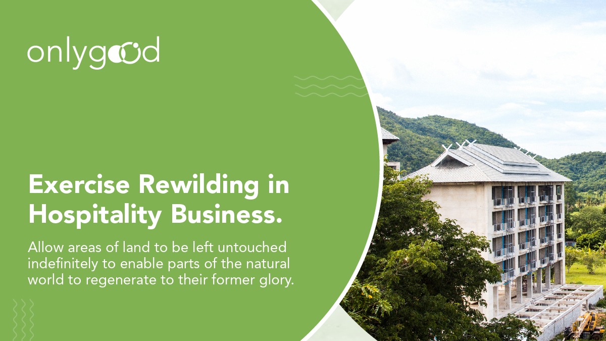 Excercise Rewilding in Hospitality Business