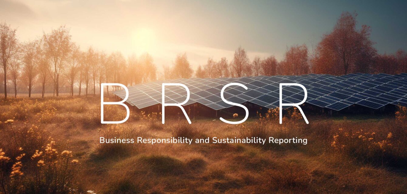 brsr-blog BRSR Explained